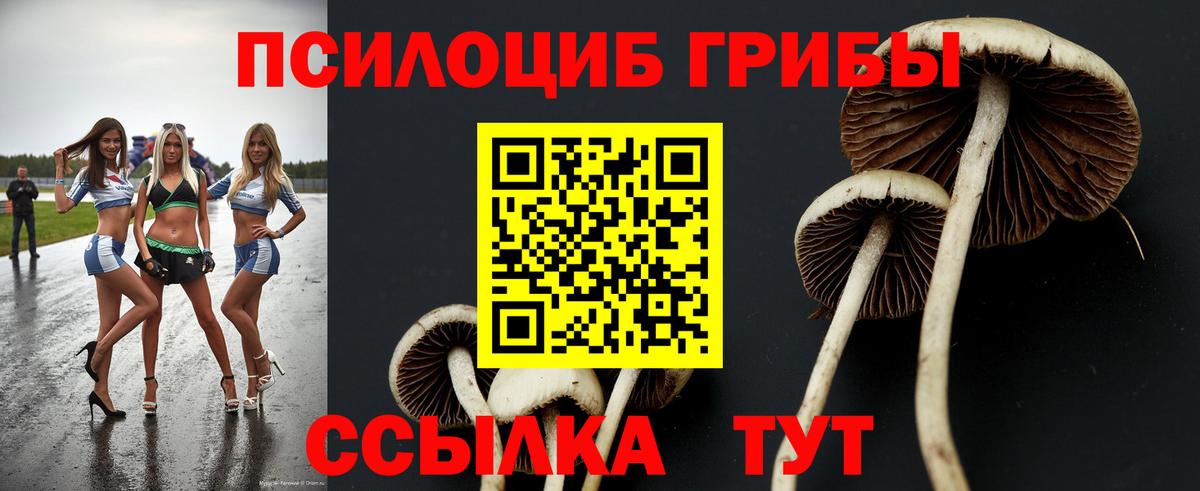 Галлюциногенные грибы прущие грибы  цены   Пыть-Ях  Вход с VPN 